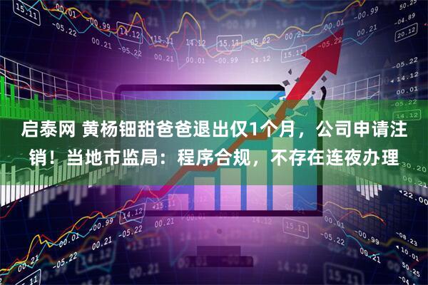 启泰网 黄杨钿甜爸爸退出仅1个月，公司申请注销！当地市监局：程序合规，不存在连夜办理