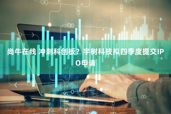 尚牛在线 冲刺科创板？宇树科技拟四季度提交IPO申请