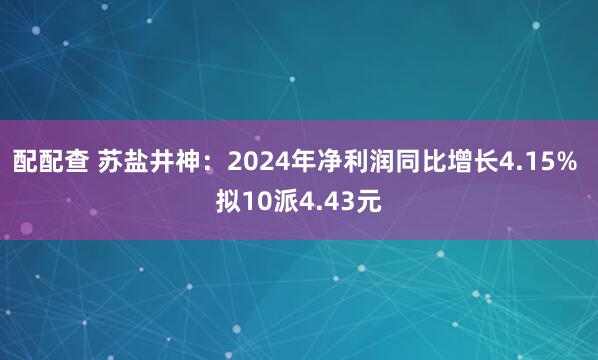 配配查 苏盐井神:2024年净利润同比增长4.15% 拟10派4.43元