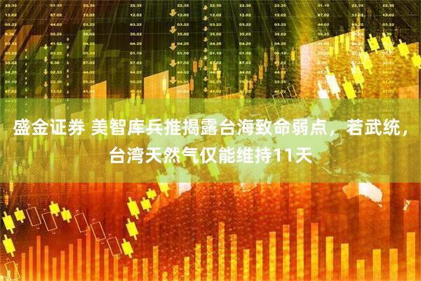 盛金证券 美智库兵推揭露台海致命弱点,若武统,台湾天然气仅能维持11天